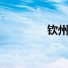 钦州教育网 钦州教育网战