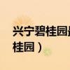 兴宁碧桂园最新动态 广东省梅州市兴宁市碧桂园）