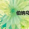 伯纳乌球场（伯纳乌球场改造