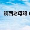 皖西老母鸡（皖西老母鸡加盟店生意不好）