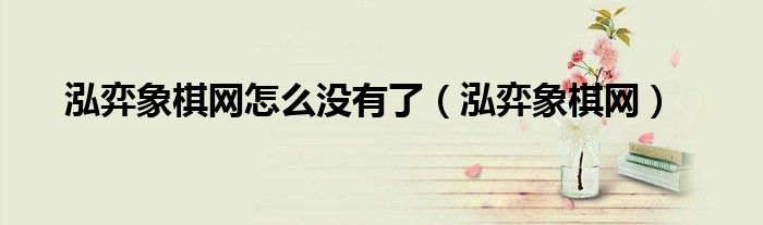泓弈象棋网怎么没有了（泓弈象棋网）
