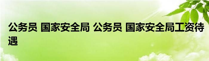 公务员 国家安全局 公务员 国家安全局工资待遇