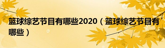 篮球综艺节目有哪些2020（篮球综艺节目有哪些）