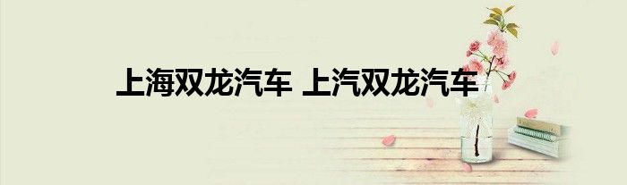 上海双龙汽车 上汽双龙汽车
