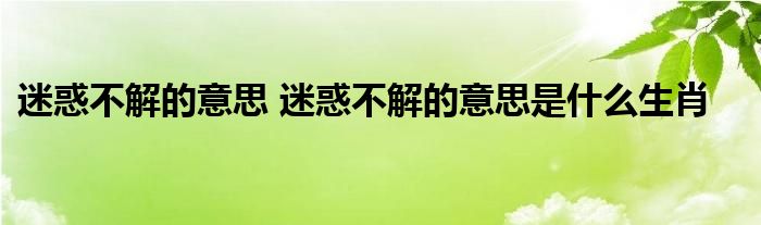 迷惑不解的意思 迷惑不解的意思是什么生肖