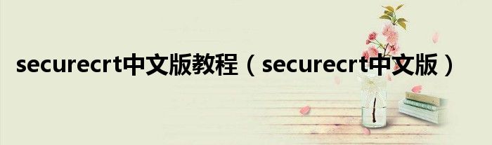 securecrt中文版教程（securecrt中文版）