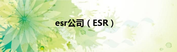 esr公司（ESR）