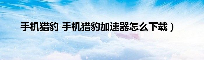 手机猎豹 手机猎豹加速器怎么下载）
