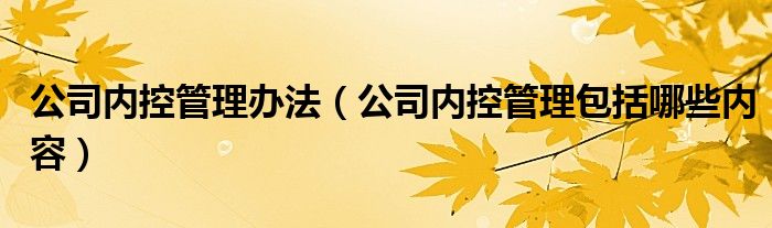 公司内控管理办法（公司内控管理包括哪些内容）