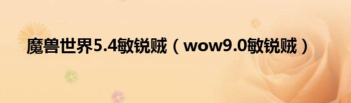 魔兽世界5.4敏锐贼（wow9.0敏锐贼）