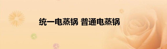 统一电蒸锅 普通电蒸锅