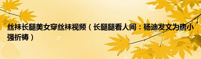 丝袜长腿美女穿丝袜视频（长腿腿看人间：杨迪发文为唐小强祈祷）