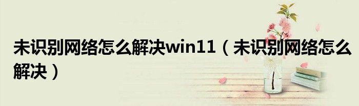 未识别网络怎么解决win11（未识别网络怎么解决）