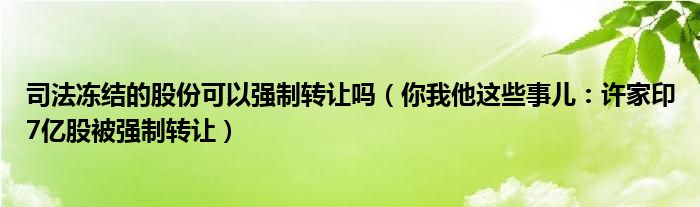 司法冻结的股份可以强制转让吗（你我他这些事儿：许家印7亿股被强制转让）