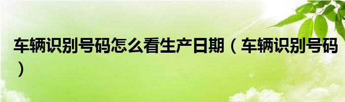 车辆识别号码怎么看生产日期（车辆识别号码）