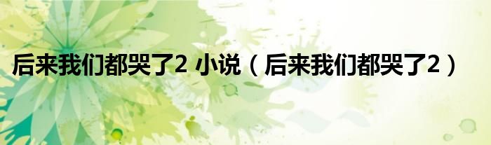 后来我们都哭了2 小说（后来我们都哭了2）