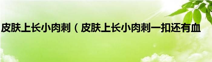 皮肤上长小肉刺（皮肤上长小肉刺一扣还有血