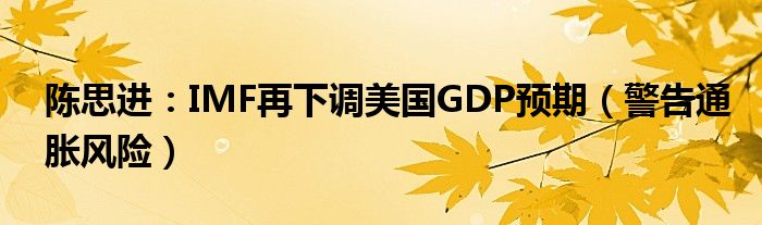 陈思进：IMF再下调美国GDP预期（警告通胀风险）