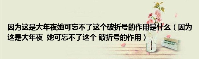 因为这是大年夜她可忘不了这个破折号的作用是什么（因为这是大年夜  她可忘不了这个 破折号的作用）