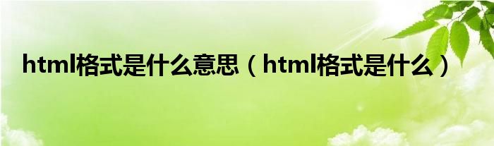 html格式是什么意思（html格式是什么）