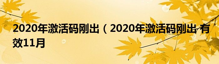 2020年激活码刚出（2020年激活码刚出 有效11月