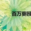 百万葵园团购 百万葵园葵花鸡团购