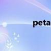 petals（on及the及wind）