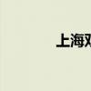 上海双龙汽车 上汽双龙汽车