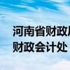 河南省财政厅门户网站会计管理系统 河南省财政会计处