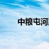 中粮屯河股票分析（中粮屯河股票）