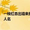 一枝红杏出墙来打一成语（一枝红杏出墙来打一成语红楼梦人名