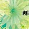 胸填充 胸填充前后对比