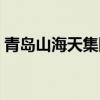 青岛山海天集团（青岛山海天科技有限公司）