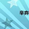 辛弃疾简介（王近山简介）