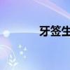 牙签生产厂家（牙签厂家电话