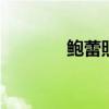 鲍蕾照片 鲍蕾个人资料图片