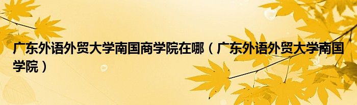 广东外语外贸大学南国商学院在哪（广东外语外贸大学南国学院）
