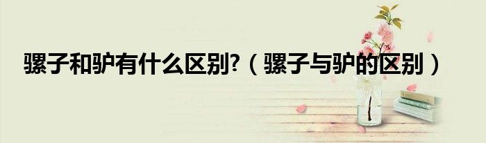 骡子和驴有什么区别?（骡子与驴的区别）