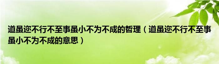 道虽迩不行不至事虽小不为不成的哲理（道虽迩不行不至事虽小不为不成的意思）