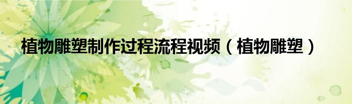 植物雕塑制作过程流程视频（植物雕塑）