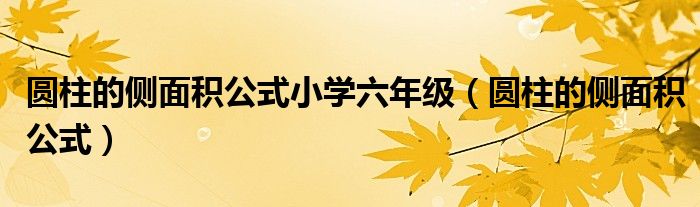 圆柱的侧面积公式小学六年级（圆柱的侧面积公式）
