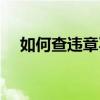 如何查违章不是自己的车（如何查违章）