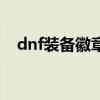 dnf装备徽章怎么取下来（dnf装备徽章）