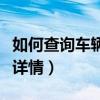 如何查询车辆违章详情表（如何查询车辆违章详情）