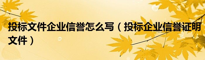 投标文件企业信誉怎么写（投标企业信誉证明文件）