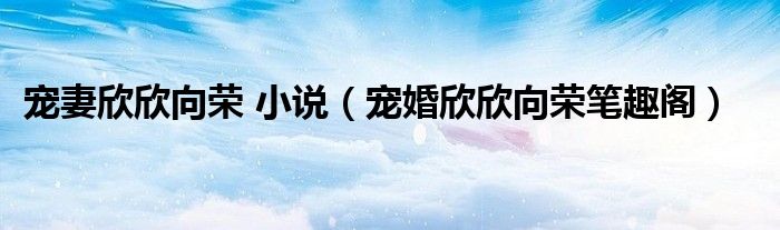 宠妻欣欣向荣 小说（宠婚欣欣向荣笔趣阁）