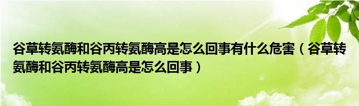 谷草转氨酶和谷丙转氨酶高是怎么回事有什么危害（谷草转氨酶和谷丙转氨酶高是怎么回事）
