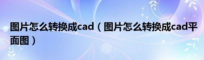图片怎么转换成cad（图片怎么转换成cad平面图）