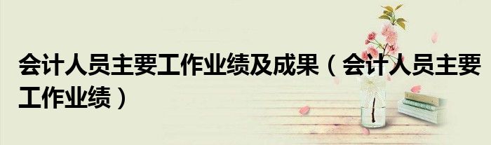 会计人员主要工作业绩及成果（会计人员主要工作业绩）