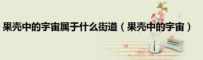 果壳中的宇宙属于什么街道（果壳中的宇宙）